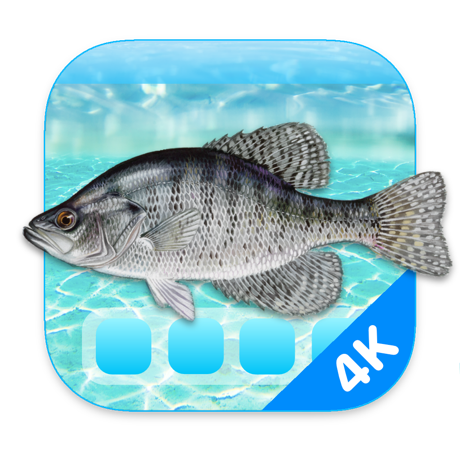Aquarium 4K – Live Wallpaper
