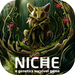 Niche