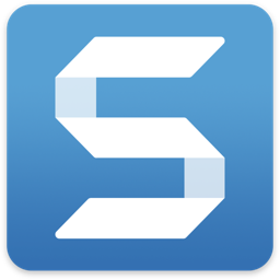 TechSmith Snagit 2021