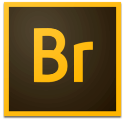 Adobe Bridge 2020