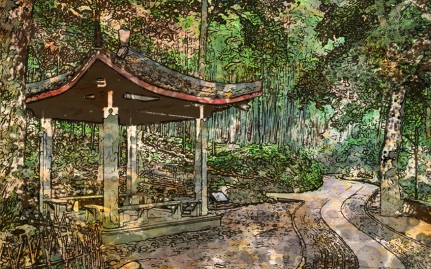 文章图片