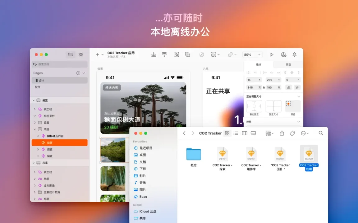 文章图片