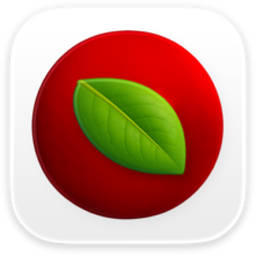 Lingon Pro 应用图标