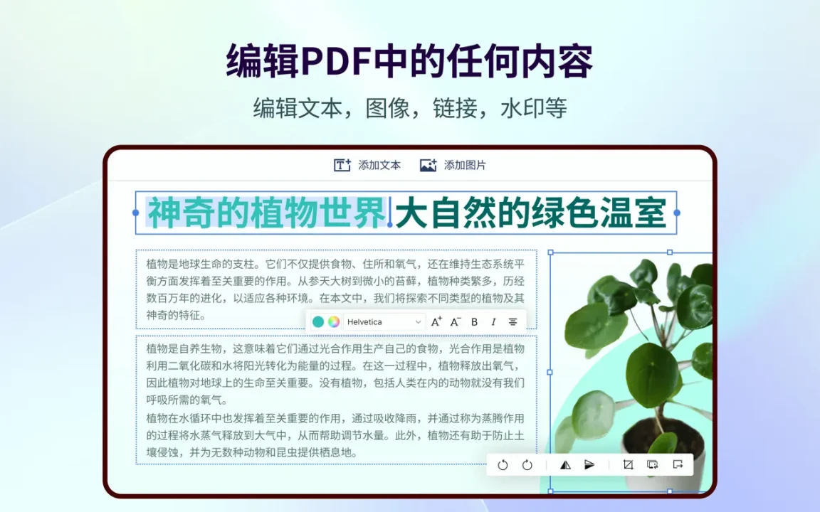 文章图片