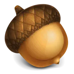 Acorn 8