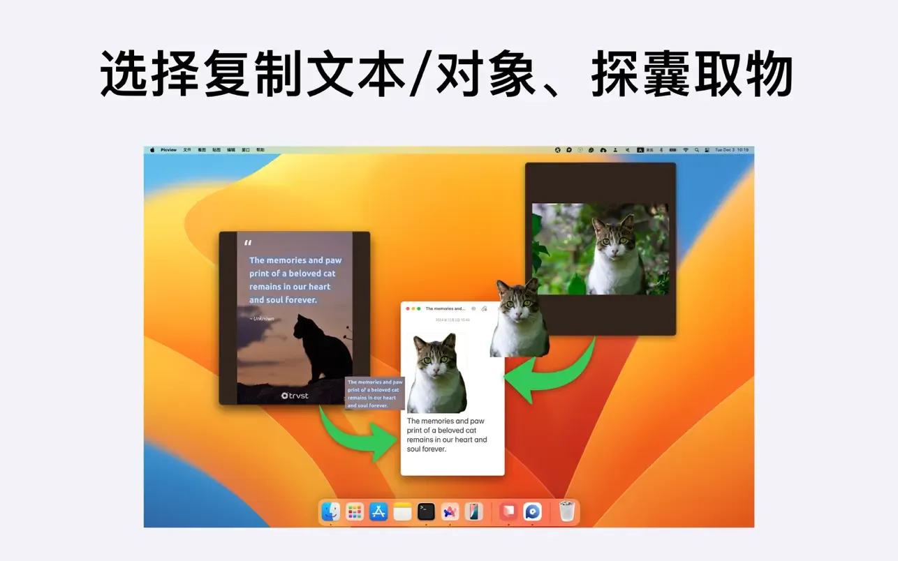 资源截图 6