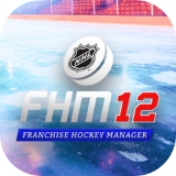 特许经营冰球经理 12