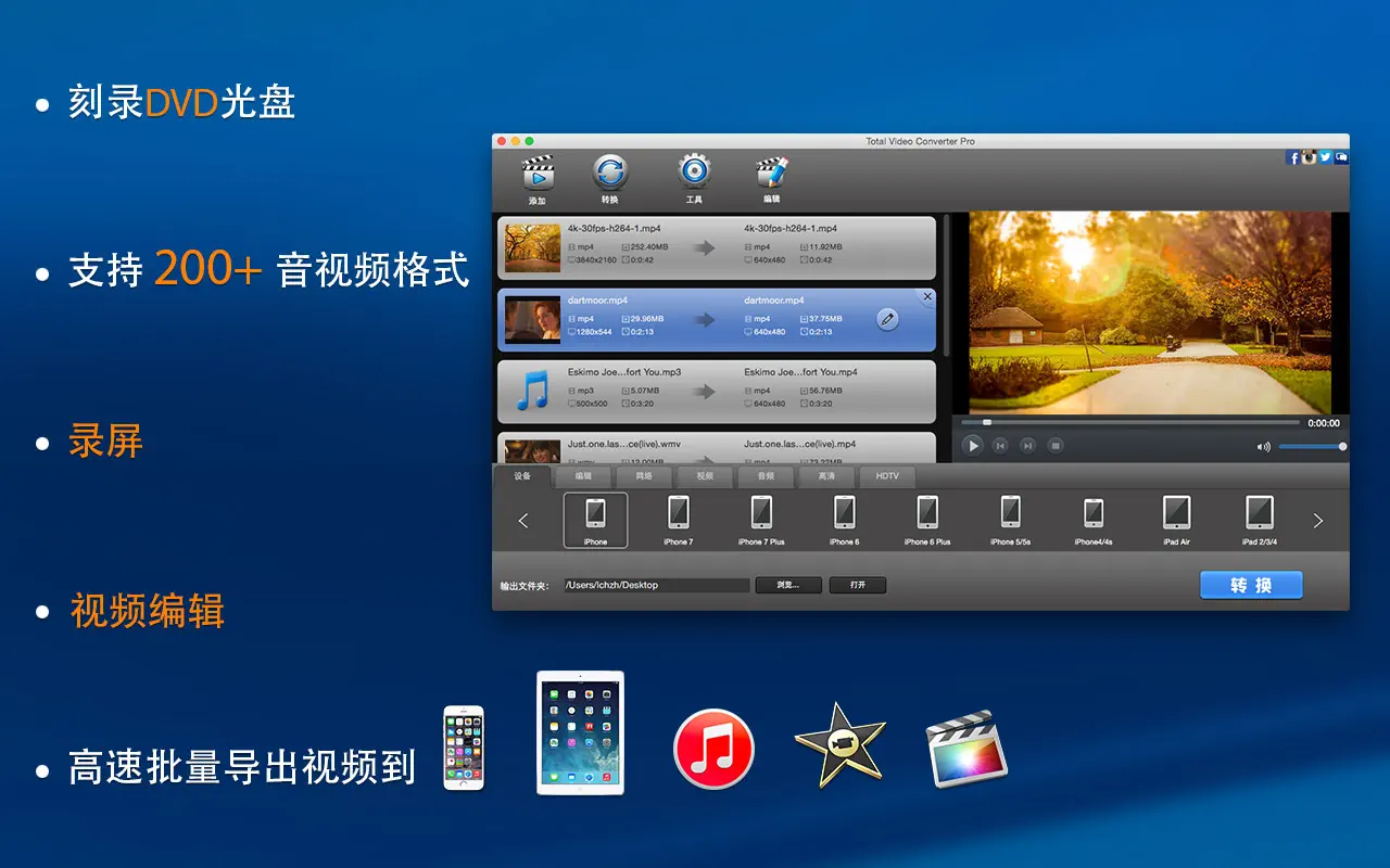 超级转霸DVD刻录版: 格式转换工厂 截图 1
