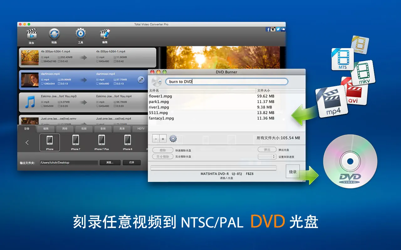 超级转霸DVD刻录版: 格式转换工厂 截图 4