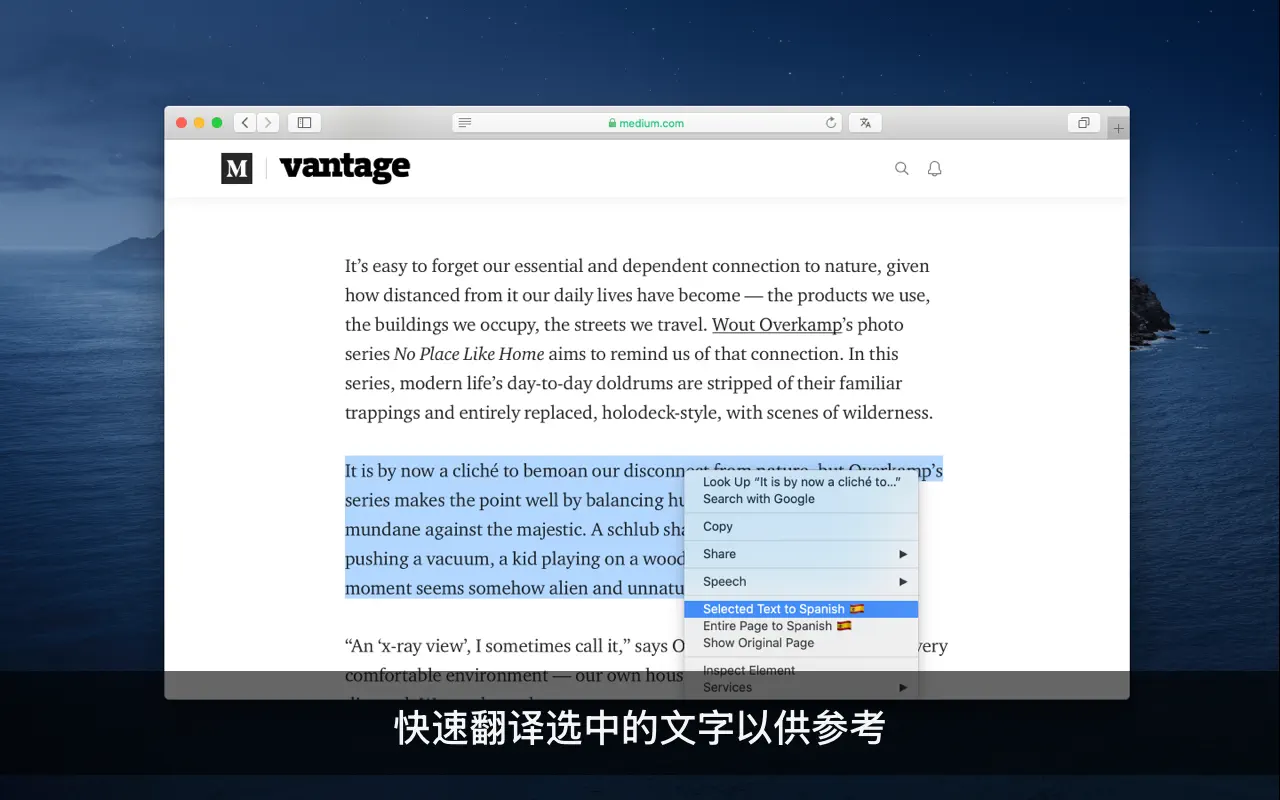 Translate for Safari 截图 4