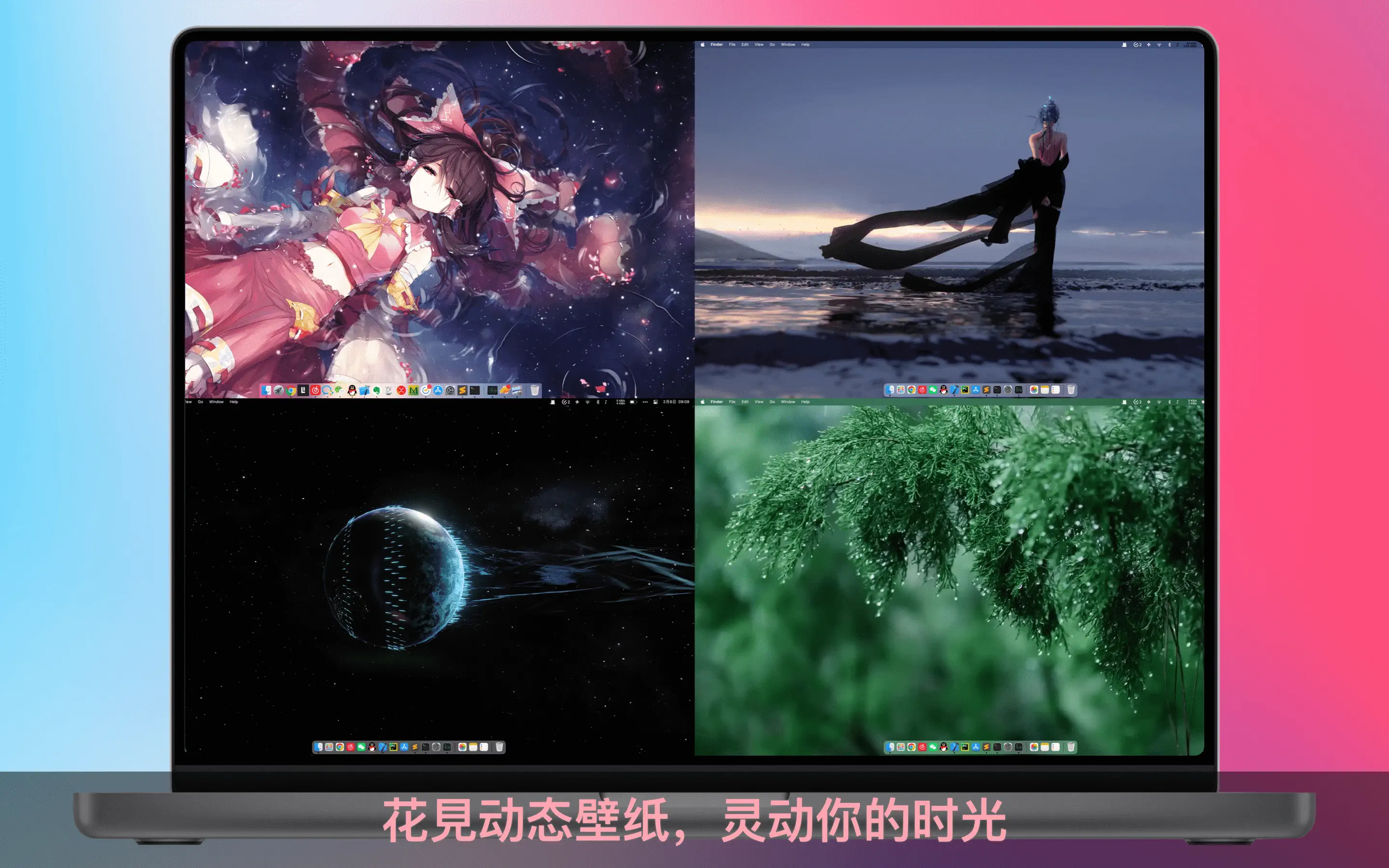 花見动态壁纸 - 6000+精选4K动态壁纸 截图 1
