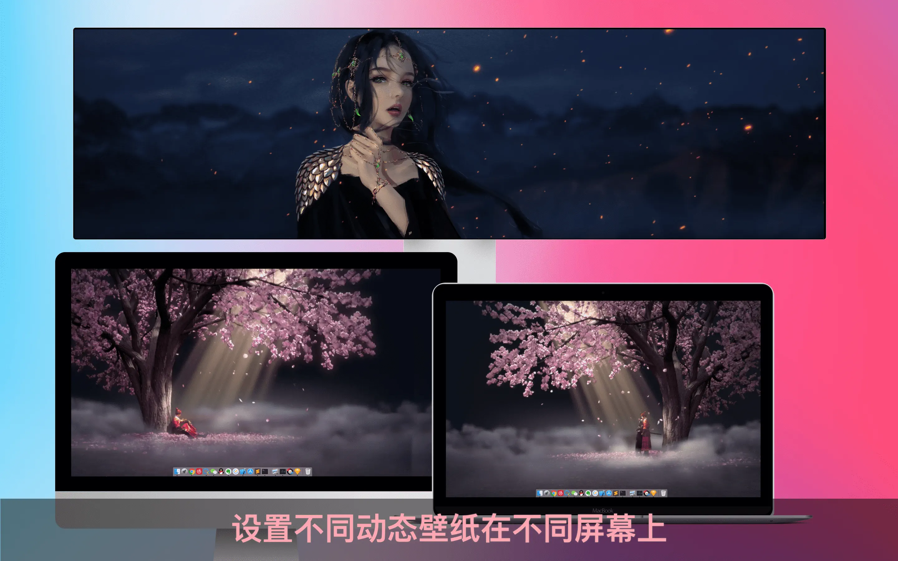 花見动态壁纸 - 6000+精选4K动态壁纸 截图 5
