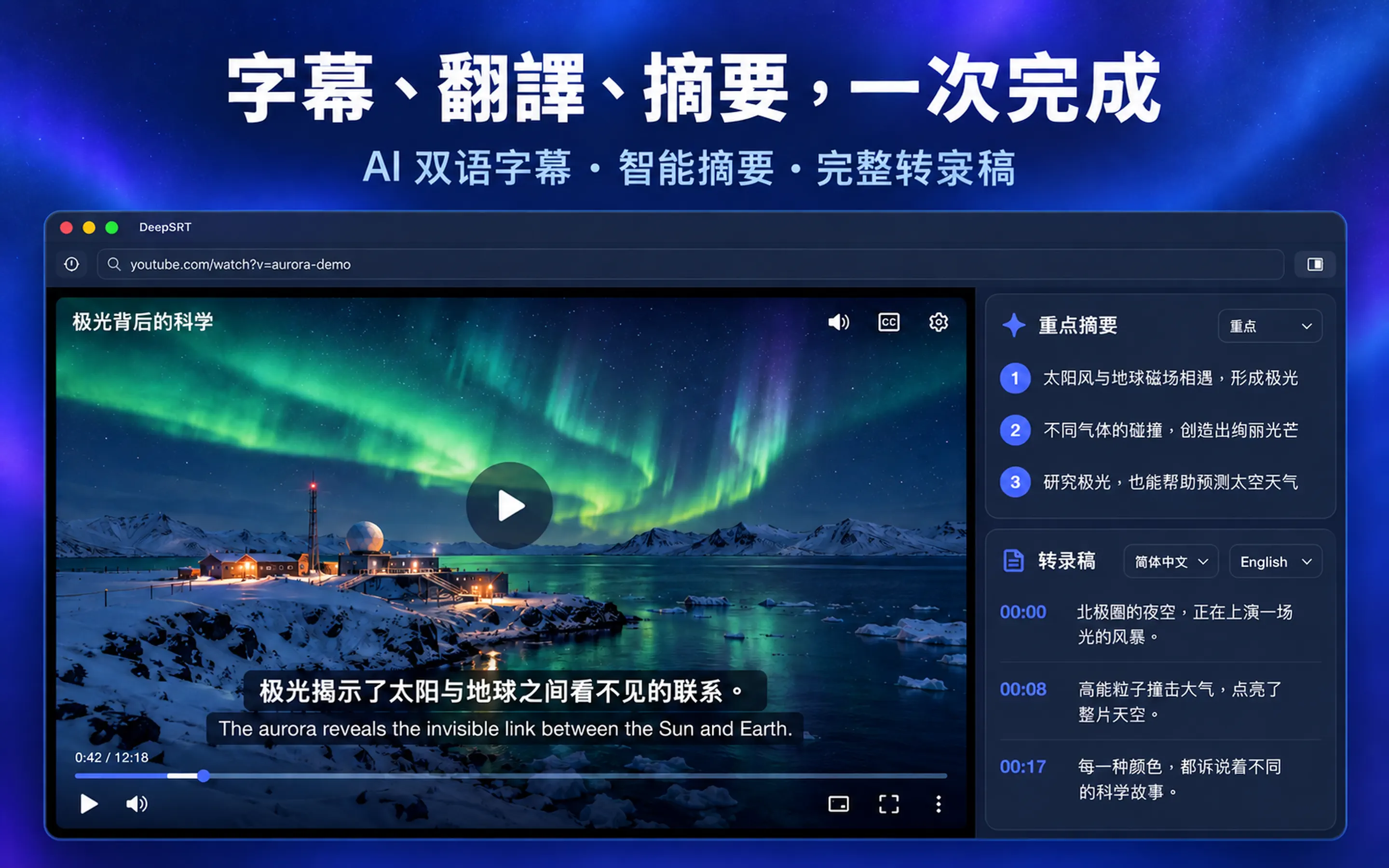 DeepSRT PRO 截图 1