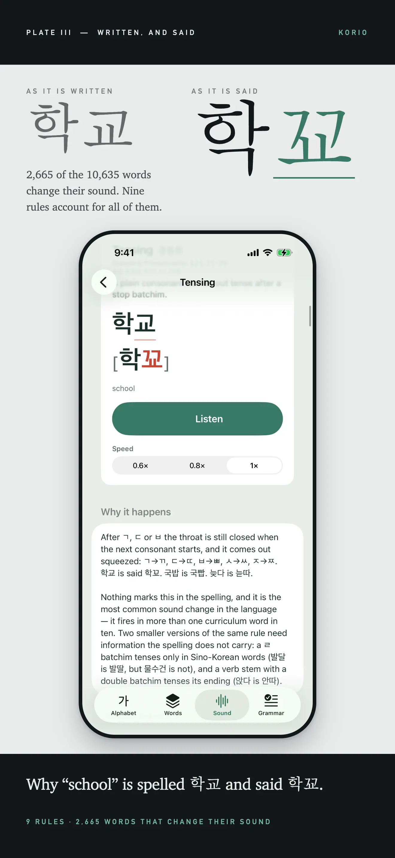 Korio: Korean & TOPIK Grammar 截图 3