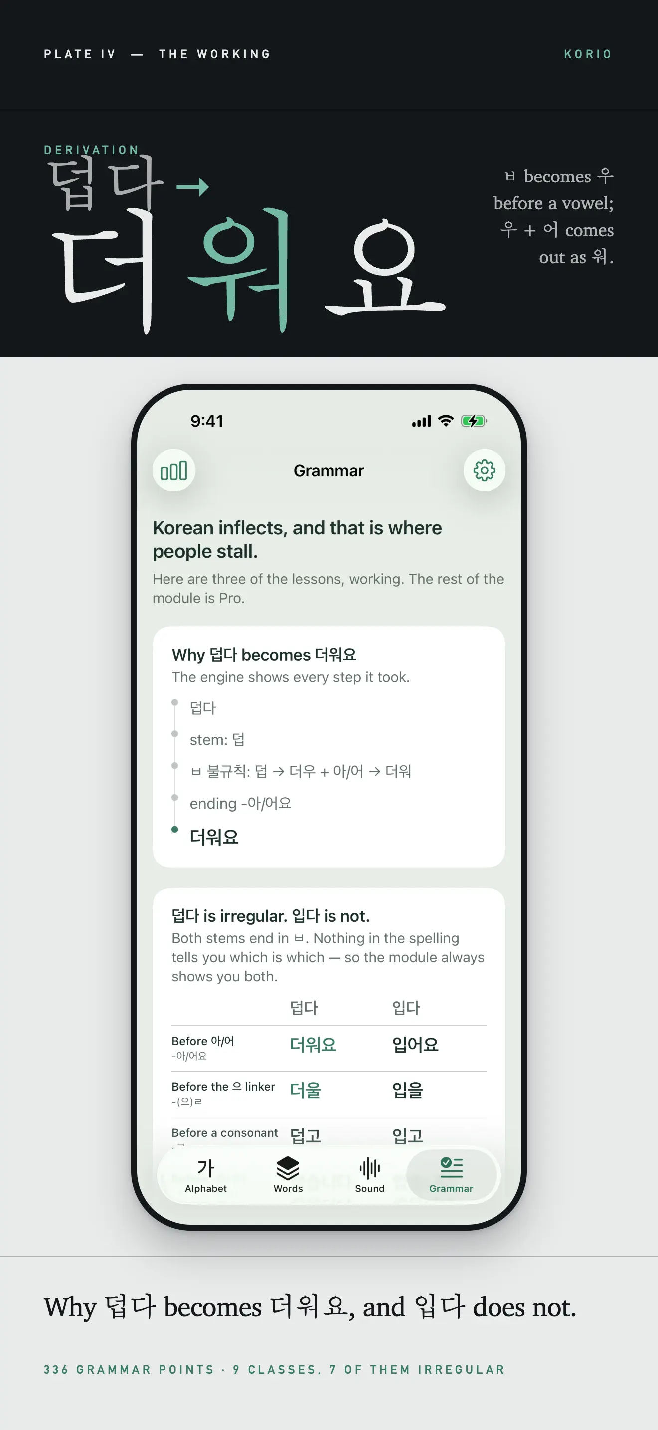 Korio: Korean & TOPIK Grammar 截图 4
