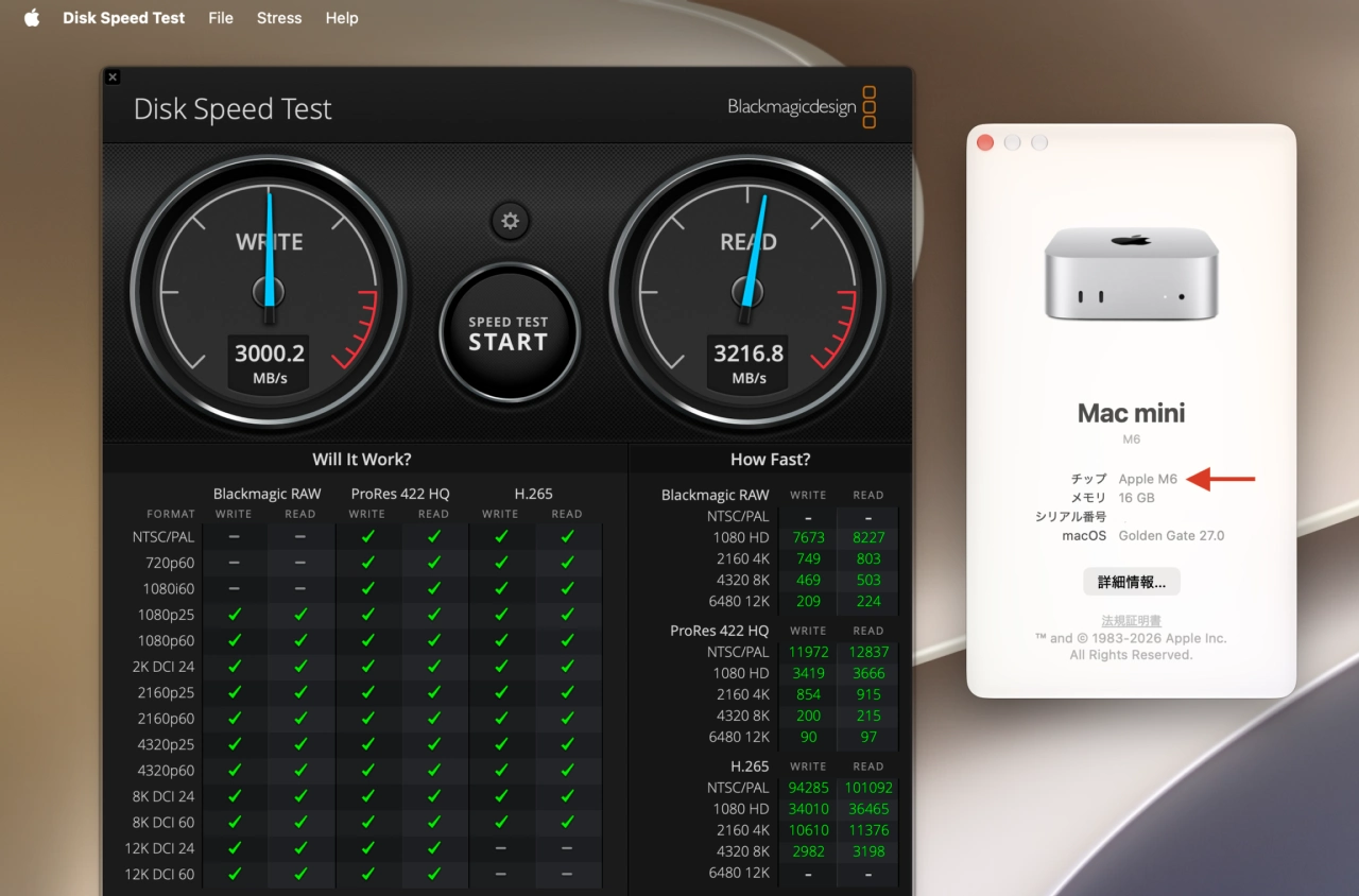 Mac mini M6 256GB 固态硬盘读写测试截图