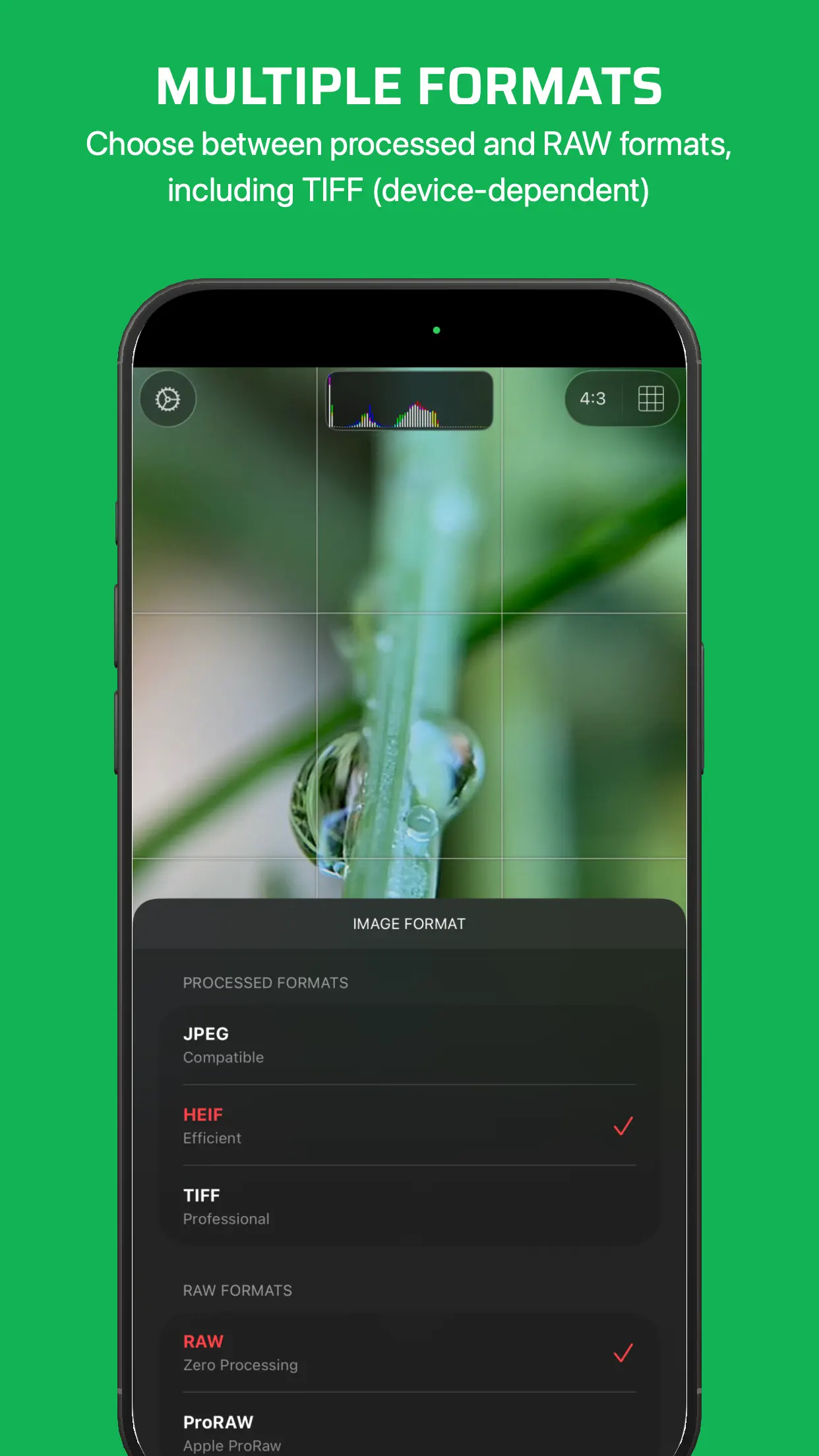 Chromatica Mark II 截图 5