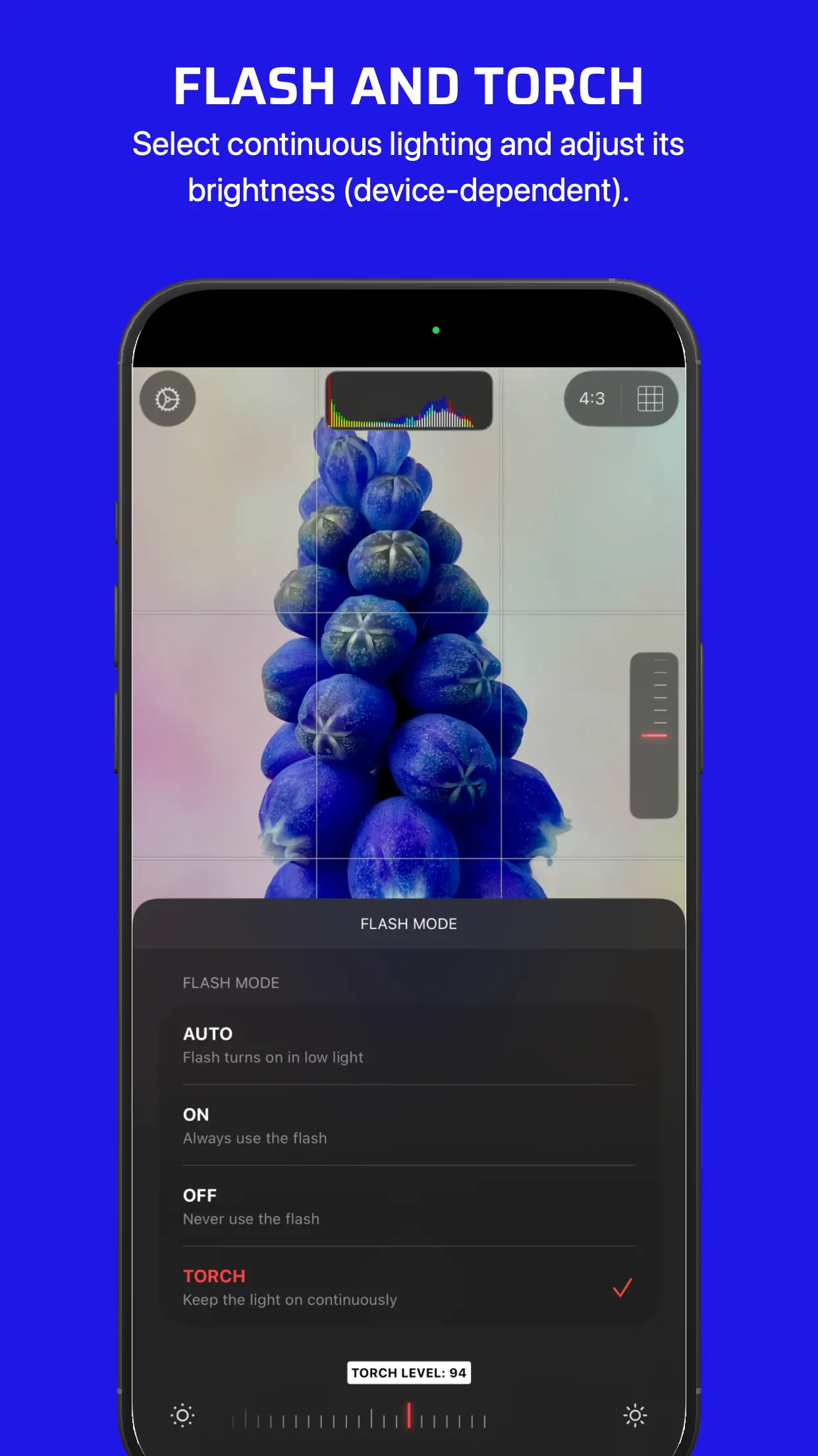 Chromatica Mark II 截图 8