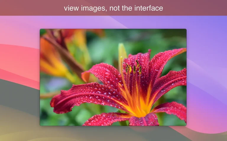 LilyView
