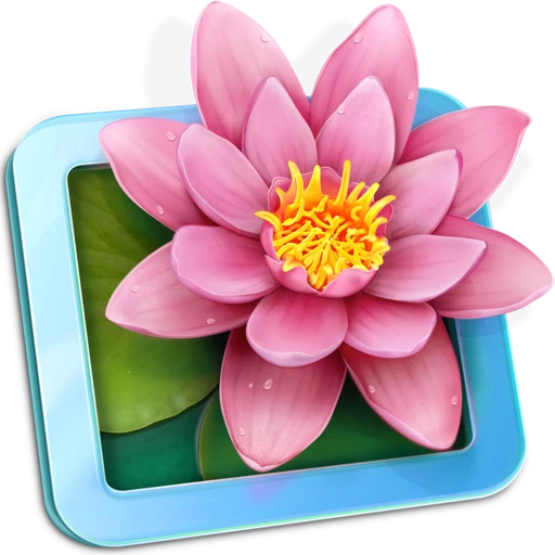 LilyView 应用图标